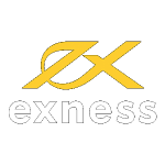 exness logo